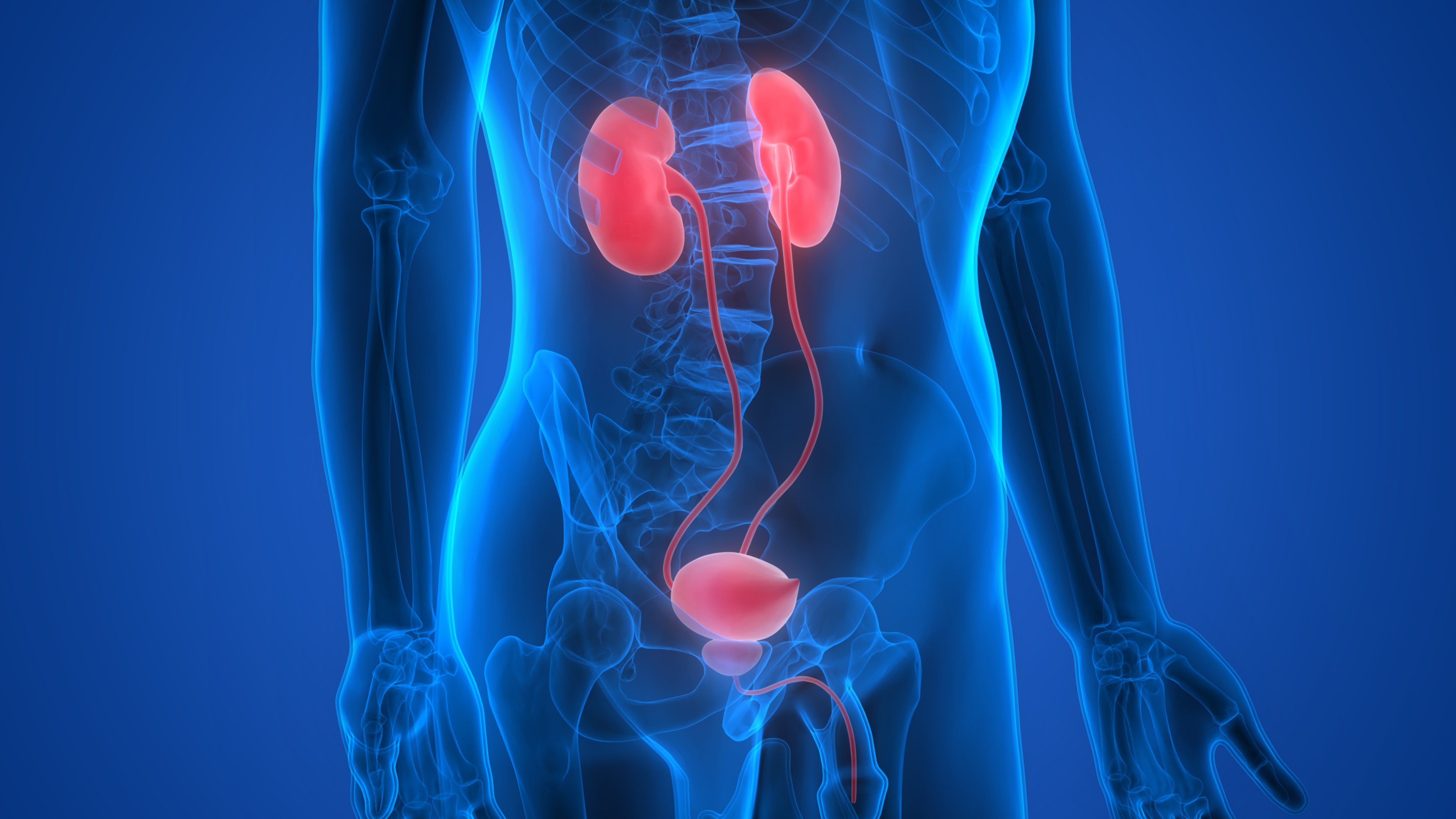 Urology Treatment in Chennai